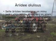 äriplaani koostamise näidis #4