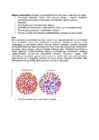 ÄGE LÜMFOIDNE LEUKEEMIA #2