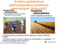 Põllumajandus #13