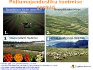 Põllumajandus #15