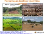 Põllumajandus #16