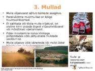 Põllumajandus #25