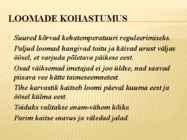 Sahara kõrb #7