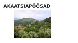 Savannid #7