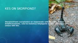 Skorpionid #2