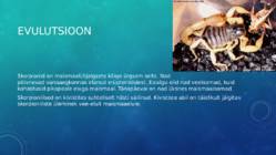 Skorpionid #8