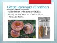 Seentega värvimine #7