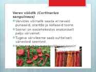 Seentega värvimine #8