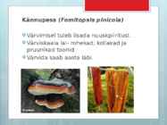 Seentega värvimine #9