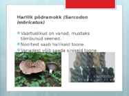 Seentega värvimine #10