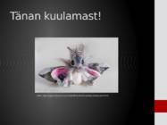 Surulased-Sphingidae #12