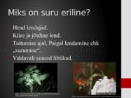 Surulased-Sphingidae #3