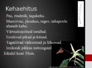 Surulased-Sphingidae #4