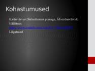 Surulased-Sphingidae #8