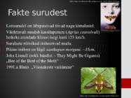 Surulased-Sphingidae #10