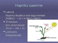 Hapnik ja vesinik- tähtsamad mittemetallid #10