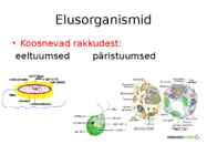 Nimetu #2