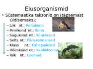 Nimetu #11