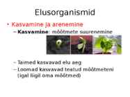 Nimetu #5