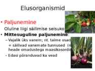 Nimetu #7
