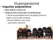 Nimetu #8