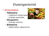 Nimetu #9