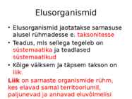 Nimetu #10