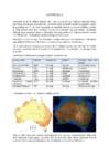 AUSTRAALIA