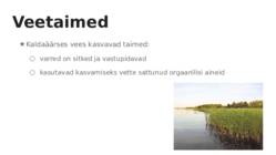 Taimede kohastumine #11