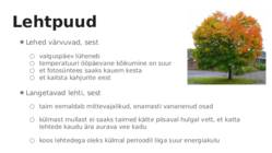 Taimede kohastumine #5