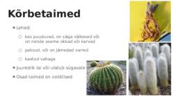 Taimede kohastumine #6