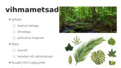 Taimede kohastumine #7