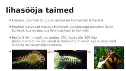 Taimede kohastumine #8