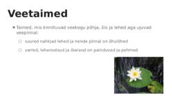 Taimede kohastumine #10