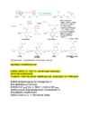Biokeemia teine test #8