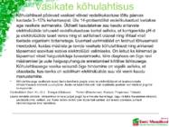 Söödalisandid põllumajandusloomade ratsioonis #17
