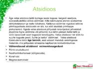 Söödalisandid põllumajandusloomade ratsioonis #20