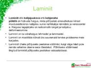 Söödalisandid põllumajandusloomade ratsioonis #22
