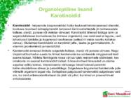 Söödalisandid põllumajandusloomade ratsioonis #47