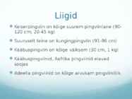 Pingviinlased #3