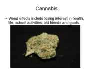 Drug addiction presentation #5