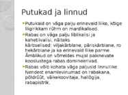 Kakerdaja raba #11