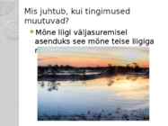 Kakerdaja raba #16