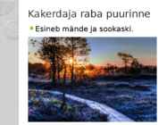 Kakerdaja raba #3