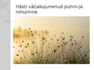 Kakerdaja raba #4