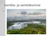 Kakerdaja raba #6