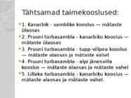 Kakerdaja raba #8