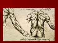 Leonardo da Vinci #24