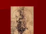 Leonardo da Vinci #26