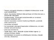 Raud betoon vahelaed ja metall taladega vahelaed #7
